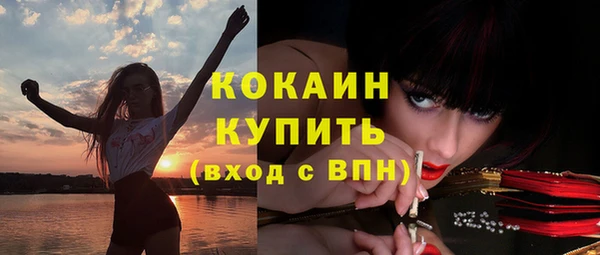 хмурый Абаза