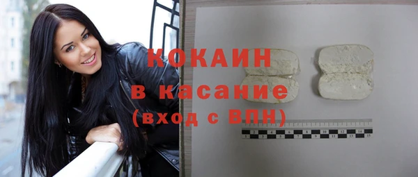 хмурый Абаза