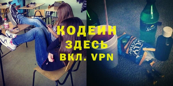 хмурый Абаза