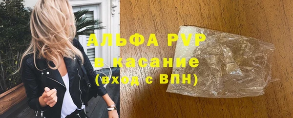 хмурый Абаза
